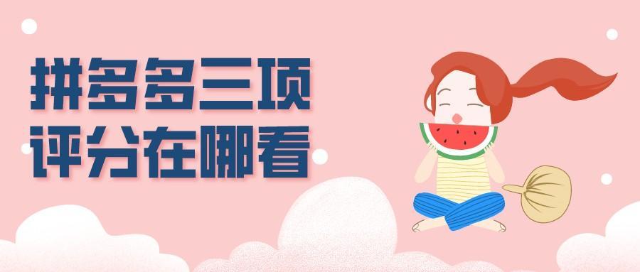 拼多多店鋪評分在哪里看到？拼多多三項評分在哪看？