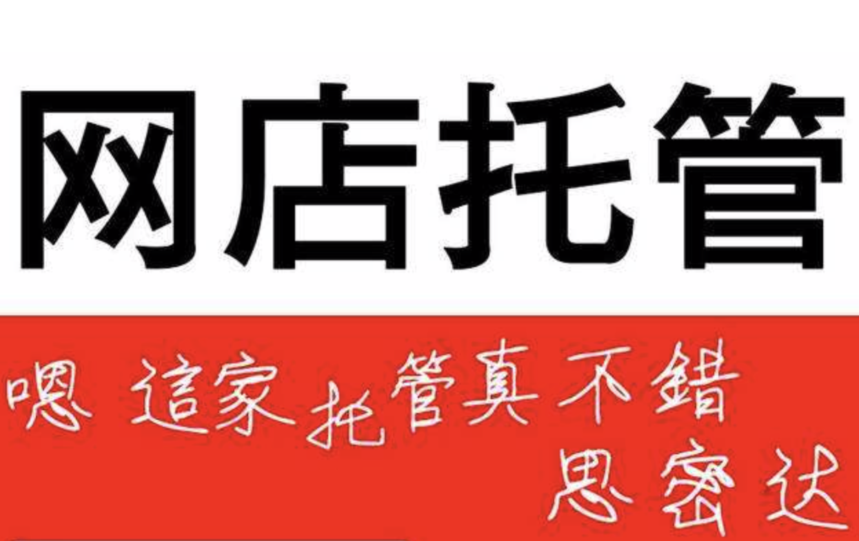 天貓運(yùn)營(yíng)模式