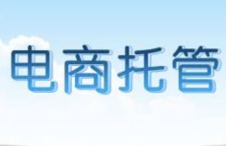 天貓運(yùn)營(yíng)模式