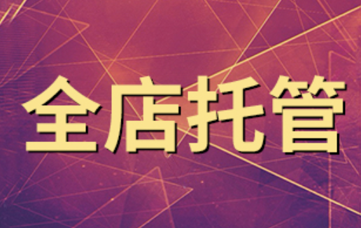 成都拼多多代運營