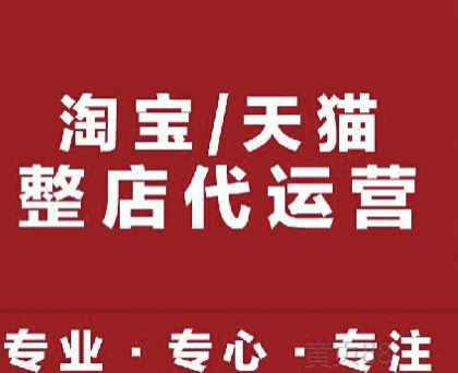 天貓品牌運營計劃書