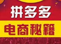 德州拼多多代運營