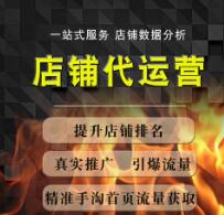 廣州阿里巴巴代運營