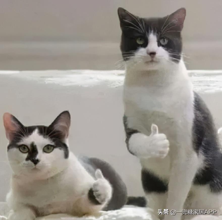網(wǎng)購哪個網(wǎng)站是正品又便宜？這幾個神仙網(wǎng)站還有人不知道？