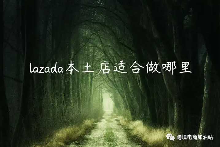 lazada跨境店和本土店哪個更好做？