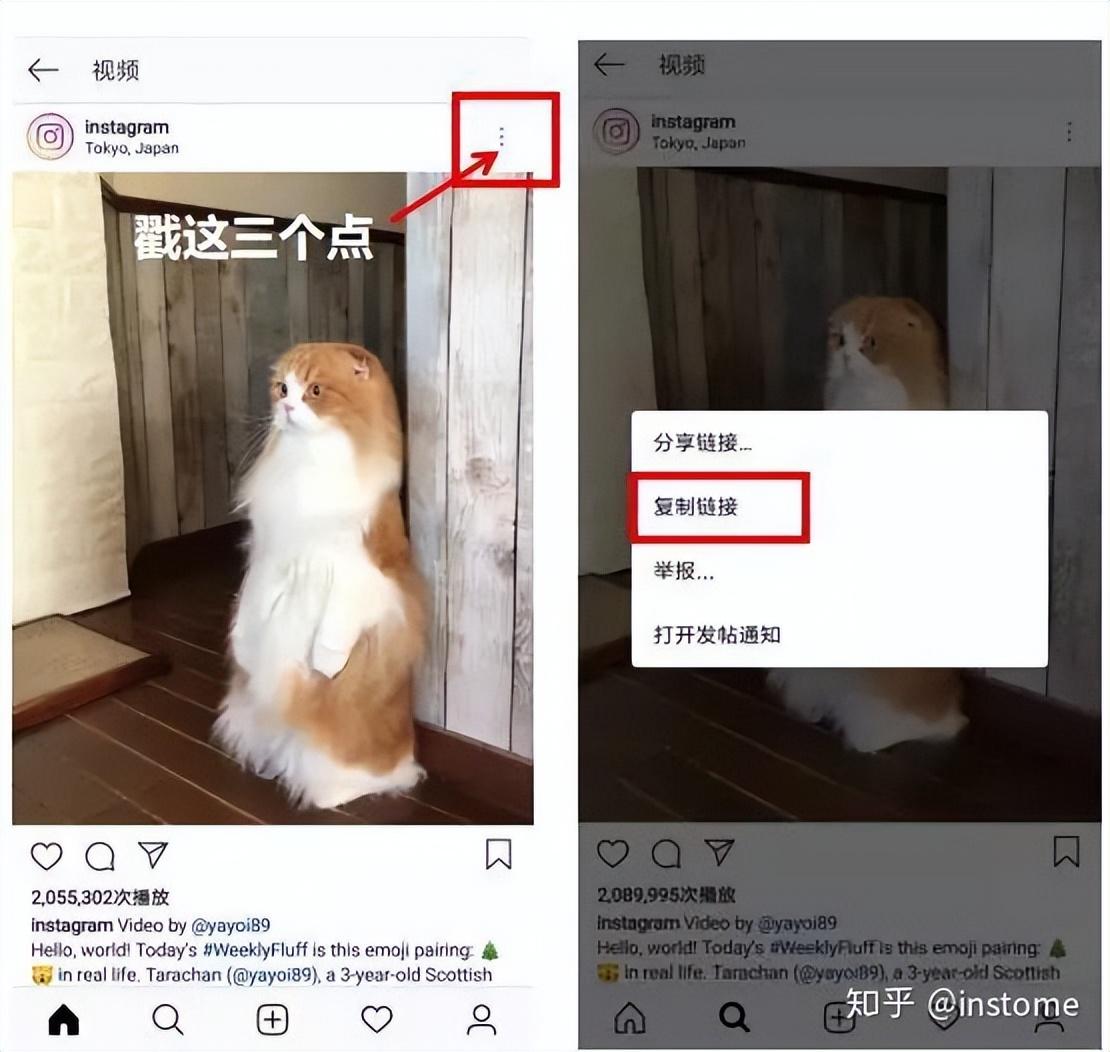 ins怎么保存原圖和視頻（INS存原圖軟件推薦）