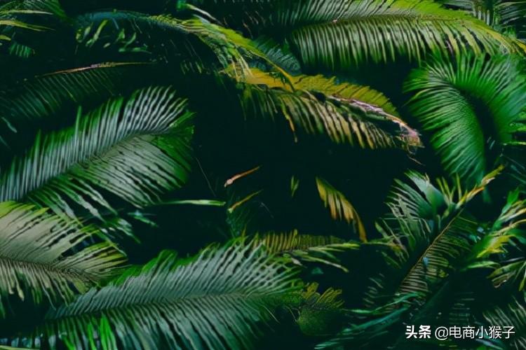 抖音封號多久能恢復正常？怎么解除和防止封號？