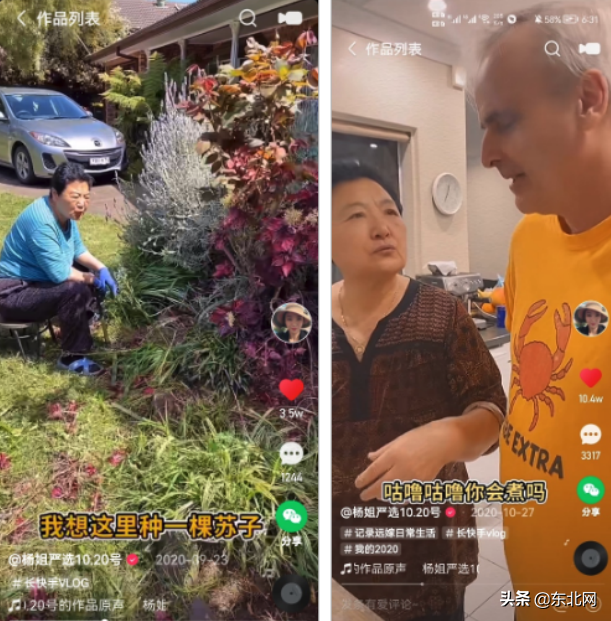 澳洲楊姐個人資料?最近狀況怎么樣？