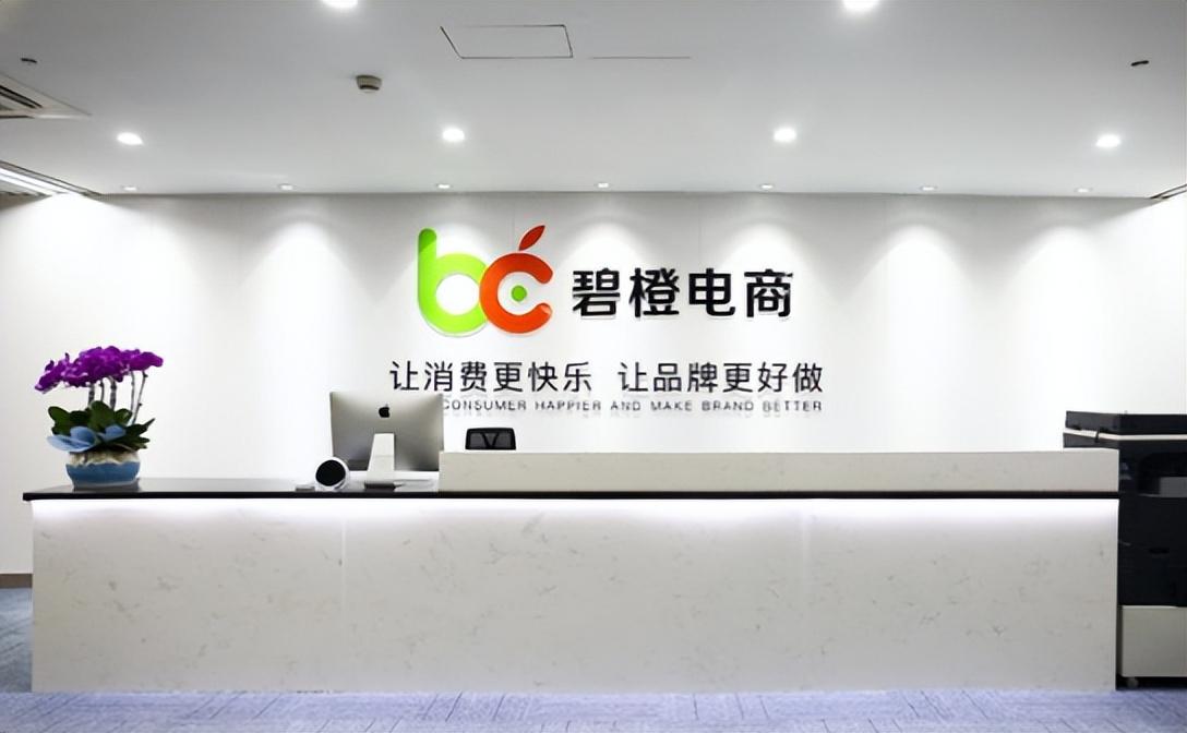 京東代運營服務商排名是什么？分享正規電商代運營公司排名前十