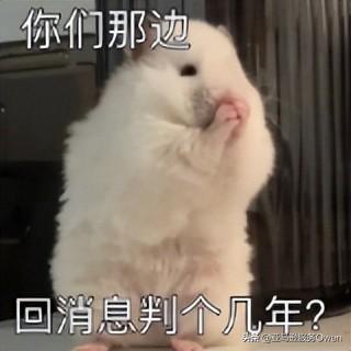亞馬遜vc賬號和普通賬號區別？怎么申請vc賬號？