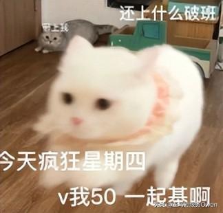 亞馬遜vc賬號和普通賬號區別？怎么申請vc賬號？