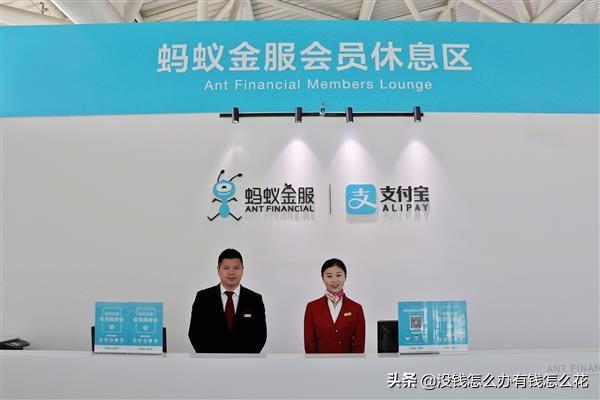 支付寶鉑金會員一年消費多少錢？有哪些規則？