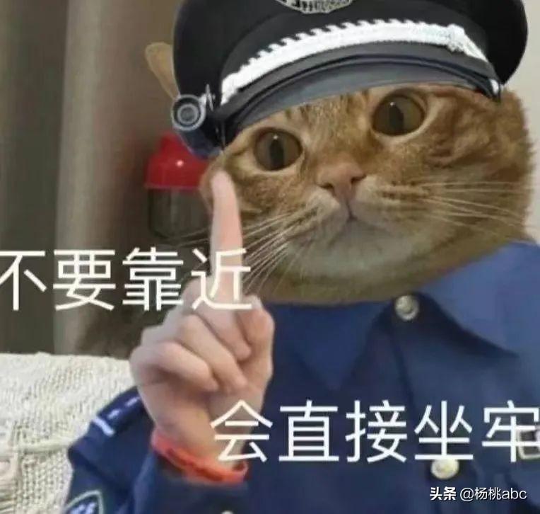 保稅倉的東西是正品嗎？如何辨別假貨及背后的邏輯？