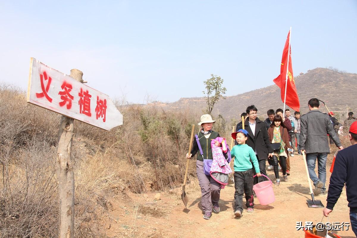 支付寶螞蟻森林怎么種樹？分享能量獲取方法和種樹攻略