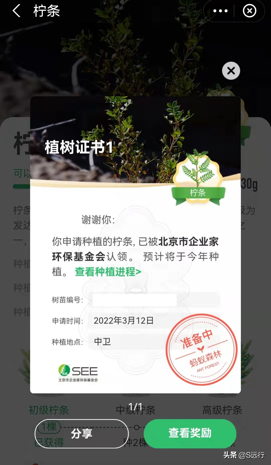 支付寶螞蟻森林怎么種樹？分享能量獲取方法和種樹攻略