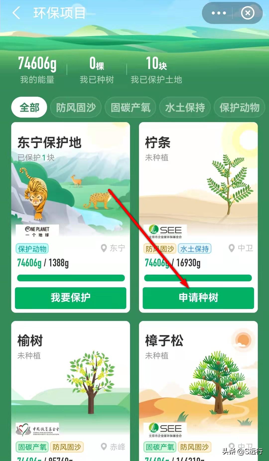 支付寶螞蟻森林怎么種樹？分享能量獲取方法和種樹攻略