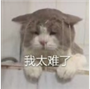 拼多多限時秒殺報名為什么被駁回？ 商家成功報名活動技巧分享