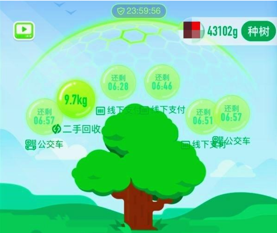 支付寶螞蟻森林是干嘛的？ 螞蟻森林能量最大的作用是什么？