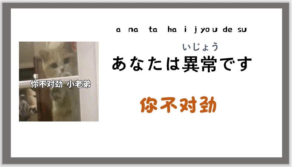 網(wǎng)絡(luò)用語寶子是什么意思？分享2020年網(wǎng)絡(luò)流行語和熱詞