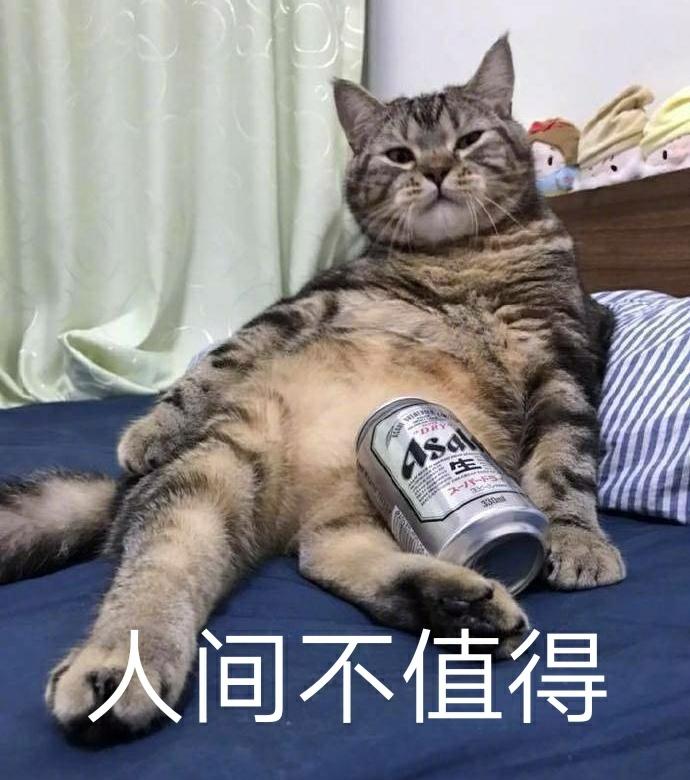 網(wǎng)絡(luò)用語寶子是什么意思？分享2020年網(wǎng)絡(luò)流行語和熱詞