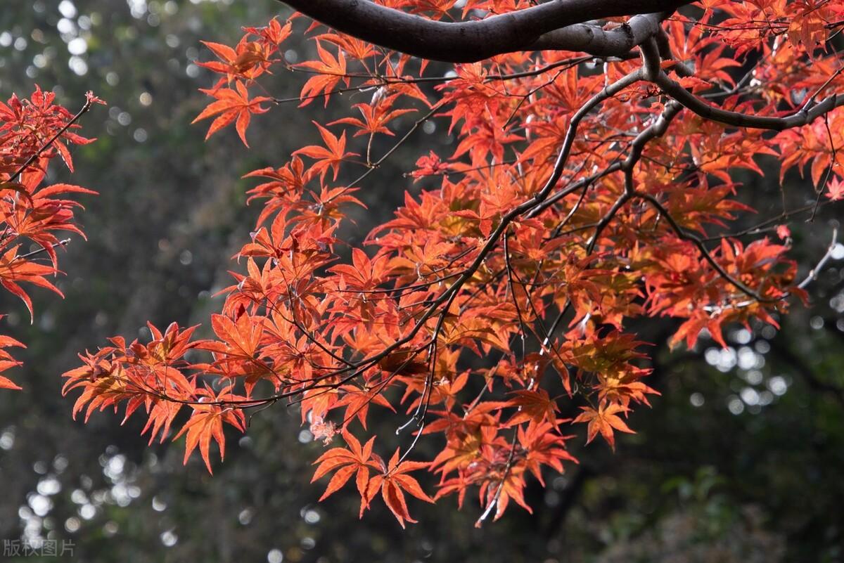 抖音簡介吸粉簡單大全（分享抖音個人簡介吸粉文案寫作技巧）