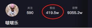 網紅狗排行前十名是誰？ 盤點那些全網最受歡迎的網紅犬