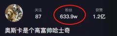 網紅狗排行前十名是誰？ 盤點那些全網最受歡迎的網紅犬
