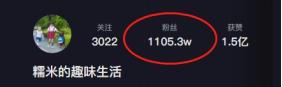 網紅狗排行前十名是誰？ 盤點那些全網最受歡迎的網紅犬