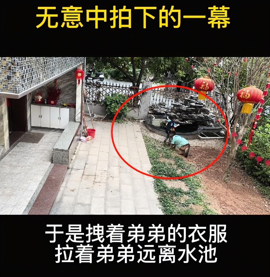 網紅狗排行前十名是誰？ 盤點那些全網最受歡迎的網紅犬