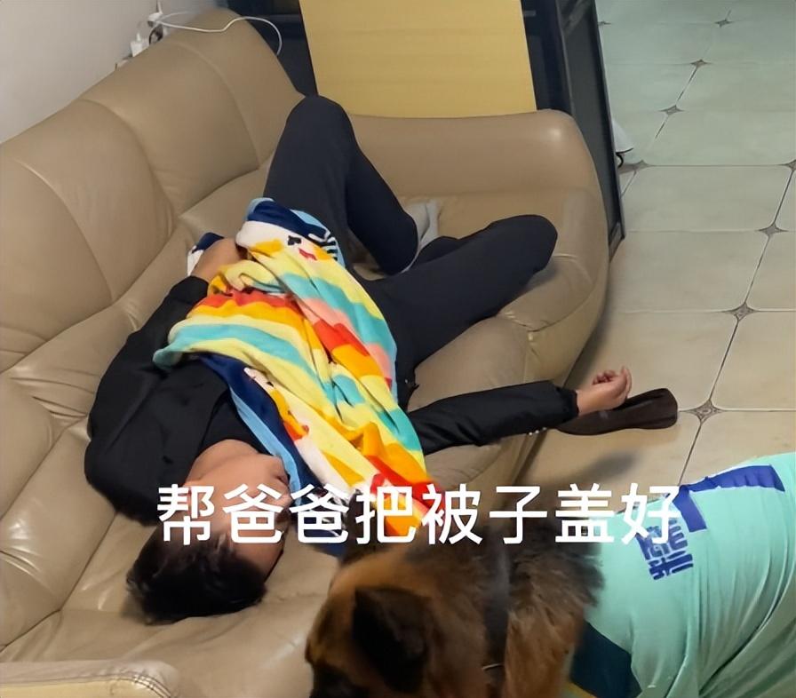 網紅狗排行前十名是誰？ 盤點那些全網最受歡迎的網紅犬