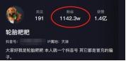 網紅狗排行前十名是誰？ 盤點那些全網最受歡迎的網紅犬
