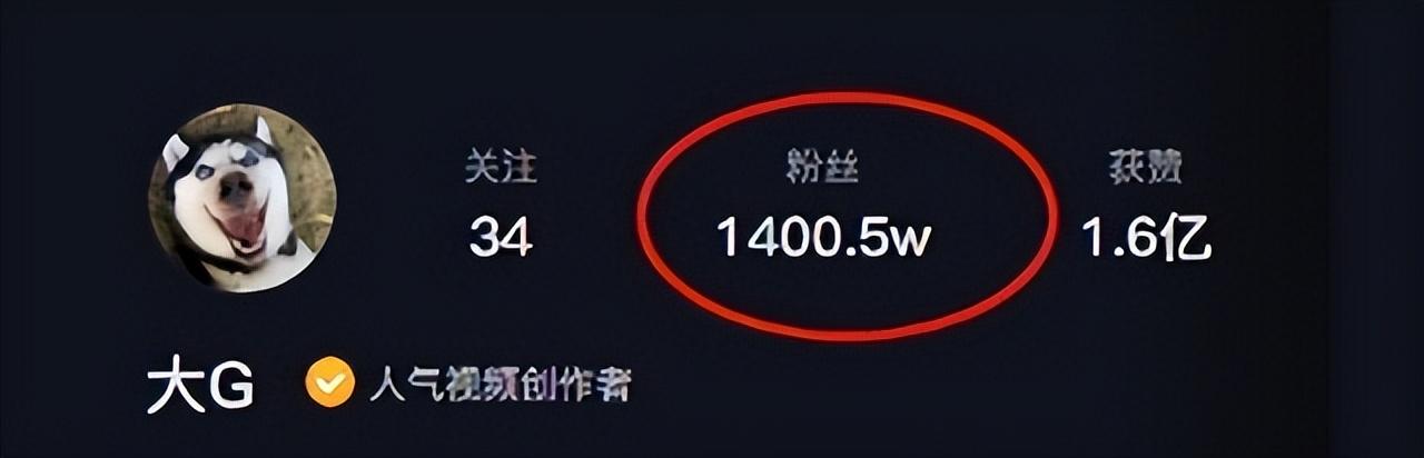 網紅狗排行前十名是誰？ 盤點那些全網最受歡迎的網紅犬