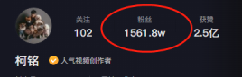 網紅狗排行前十名是誰？ 盤點那些全網最受歡迎的網紅犬