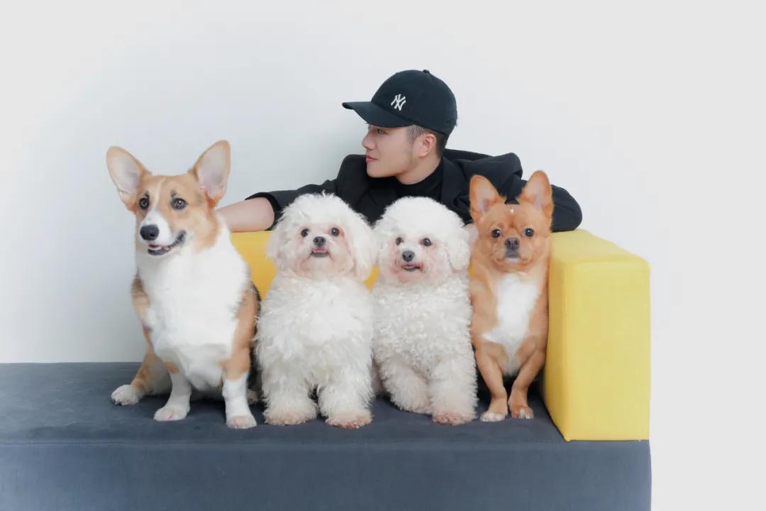 網紅狗排行前十名是誰？ 盤點那些全網最受歡迎的網紅犬