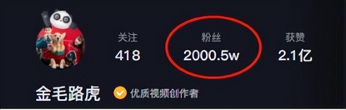 網紅狗排行前十名是誰？ 盤點那些全網最受歡迎的網紅犬