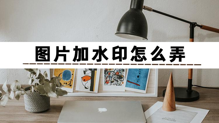 圖片水印怎么制作？教你自己制作給照片添加文字或印章水印的方法