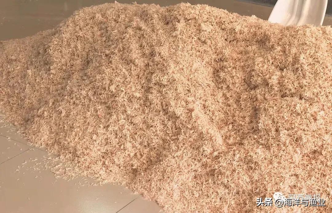 蝦皮多少錢一斤（蝦皮的功效與作用）