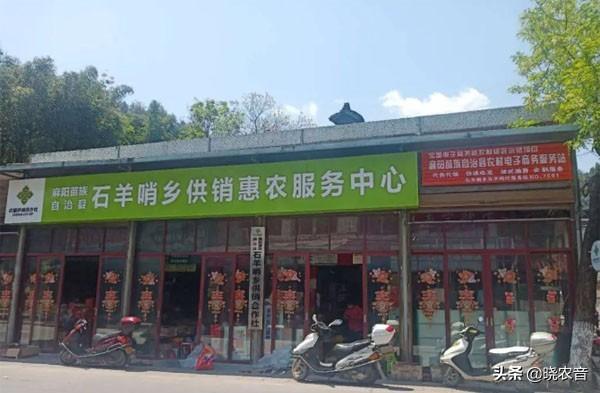 電商創(chuàng)業(yè)計(jì)劃書（2022最火創(chuàng)業(yè)小項(xiàng)目）