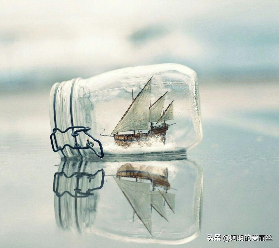 淘無憂是什么平臺？淘寶聯盟推廣自己店鋪的技巧