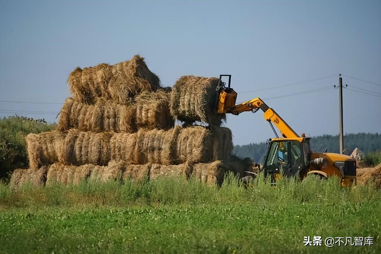 中國貿(mào)易伙伴排名（2022中國出口貿(mào)易數(shù)據(jù)表一覽）