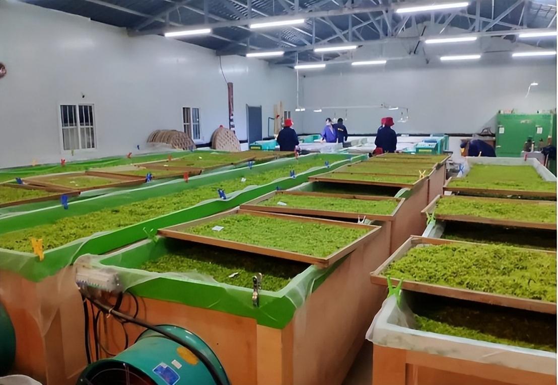 拼多多怎么賺錢盈利？拼多多平臺的運營模式和盈利模式是怎樣的？