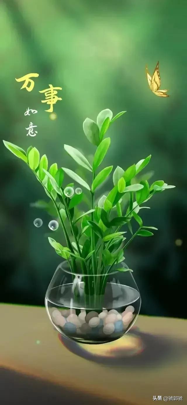 禮金是什么意思？禮金的數(shù)額大小設(shè)置及禮金包括哪些項目？