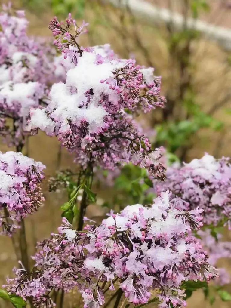 開店做什么生意好？分享6個(gè)適合新手創(chuàng)業(yè)投資的小本生意