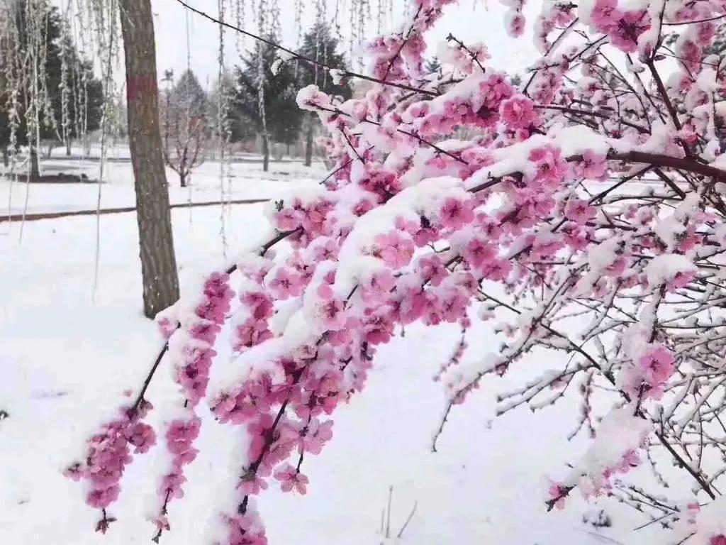 開店做什么生意好？分享6個(gè)適合新手創(chuàng)業(yè)投資的小本生意