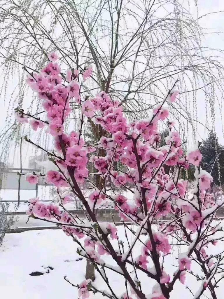 開店做什么生意好？分享6個(gè)適合新手創(chuàng)業(yè)投資的小本生意