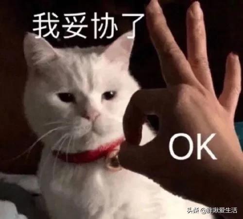 拼多多注銷賬號怎么注銷？分享拼多多注銷賬號和解除綁定的方法