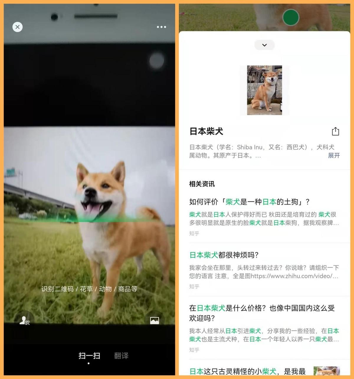 掃二維碼識別商品（解析微信掃一掃識別商品物品的功能作用）