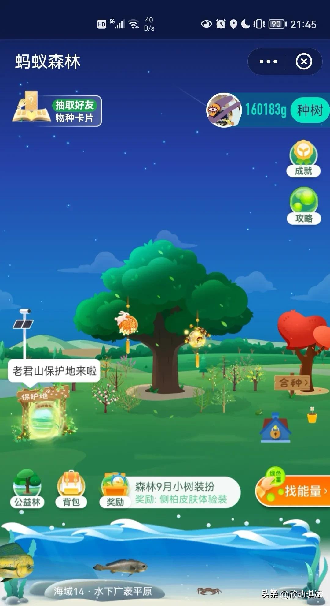 支付寶螞蟻森林種樹(shù)有什么用？分析螞蟻森林種樹(shù)的作用及意義