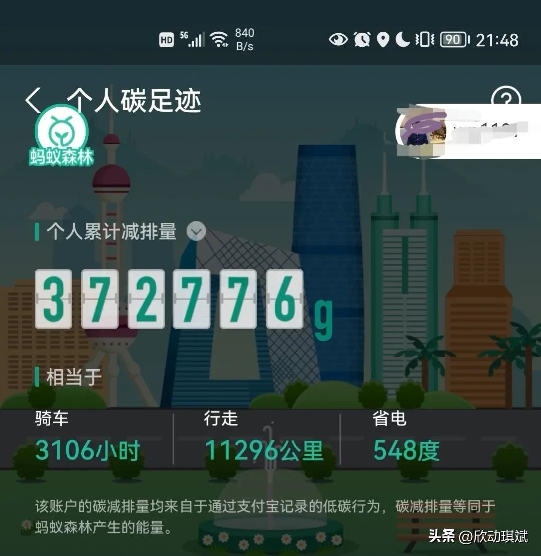 支付寶螞蟻森林種樹(shù)有什么用？分析螞蟻森林種樹(shù)的作用及意義