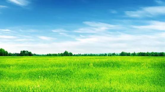 中心構(gòu)圖的特點（九種常見構(gòu)圖法解析）